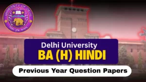 DU BA Hindi Previous Year Question Papers